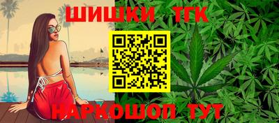 дмт Славгород