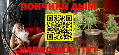 дмт Славгород