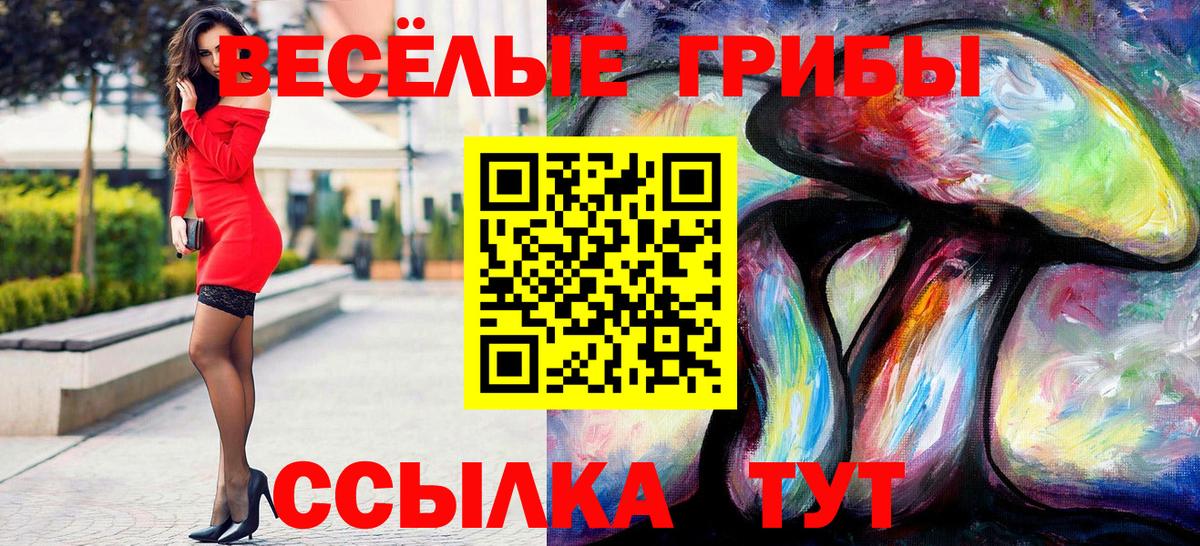Галлюциногенные грибы Psilocybe Сланцы